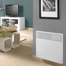 Elektrinis radiatorius Atlantic F117 DESIGN PLUG 1500W