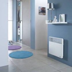 Elektrinis radiatorius Atlantic F117 DESIGN PLUG 2000W