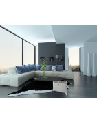 Elektrinis radiatorius Electrolux TORRID 1000W