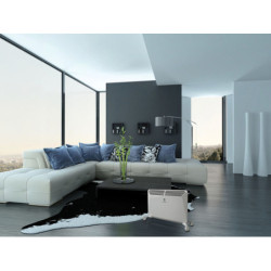 Elektrinis radiatorius Electrolux TORRID 2000W