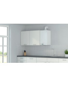 Dujinis katilas Viessmann VITODENS 100-W 5.9-19kW B1HC349