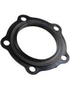 Tarpinė flanšui  Ariston 571312