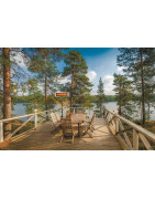 Infraraudonųjų spindulių šildytuvas Ballu BIH-L-2.0 2000W