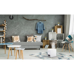 Oro drėkintuvas Boneco Air-O-Swiss S250 (Šveicarija)