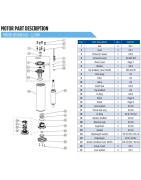 Giluminio vandens siurblio variklis Franklin PSC 1.1kW 230V