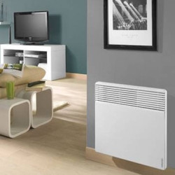 Elektrinis radiatorius Atlantic F117 DESIGN PLUG 2500W