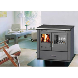 Krosnelė-viryklė Victoria Lux Color, 9 kW