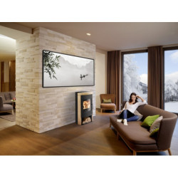 Plieninė krosnelė Haas Sohn Madeira, 6 kW