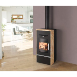 Plieninė krosnelė Haas Sohn Farum su šilumokaičiu, 15 kW