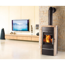 Plieninė krosnelė Haas Sohn Visby su šilumokaičiu, 10 kW