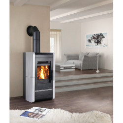 Plieninė krosnelė Haas Sohn Savona, 8 kW