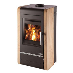 Plieninė krosnelė Haas Sohn Avesta, 8 kW