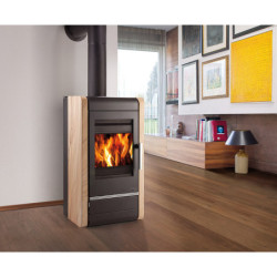 Plieninė krosnelė Haas Sohn Avesta su šilumokaičiu, 10 kW