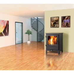 Plieninė krosnelė Haas Sohn Uka, 6 kW