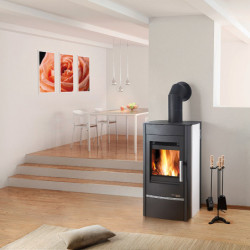 Plieninė krosnelė Haas Sohn Kalix, 8 kW