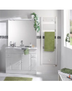 Vandeninis rankšluosčių džiovintuvas Atlantic 2012 Boiler, 942 W