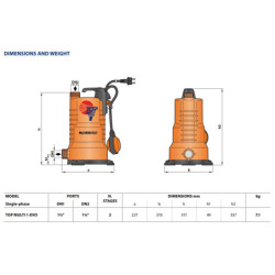 Panardinamas vandens siurblys šuliniams Pedrollo TOP MULTI 2 EVO