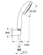 Dušo galva Grohe Tempesta 100 su laikikliu ir žarna
