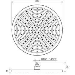 Dušo galvutė Ravak 980.00, žalvarinė