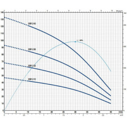 Giluminis vandens siurblys Pedrollo 3SR2m/30, 230 V