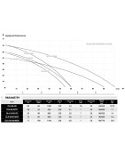 Giluminis vandens siurblys šuliniams Ibo OLA60/60 INOX
