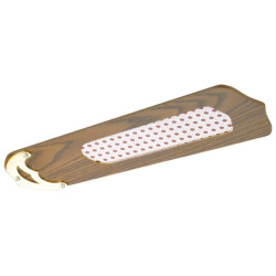 Lubų ventiliatorius Ardes Cloud 107D, su šviestuvu