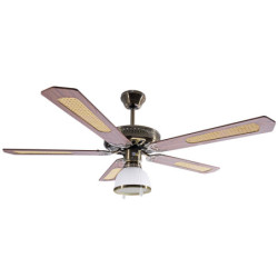 Lubų ventiliatorius Ardes Cloud 130D, su šviestuvu