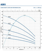 Giluminis vandens siurblys Pedrollo 4SR1m/13-R