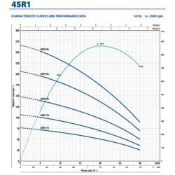 Giluminis vandens siurblys Pedrollo 4SR1m/18-R