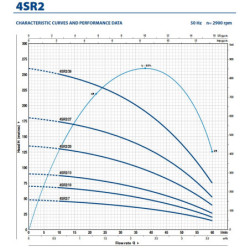 Giluminis vandens siurblys Pedrollo 4SR2m/13-R