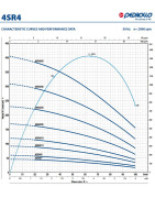 Giluminis vandens siurblys Pedrollo 4SR4m/14-R