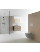 Veidrodinė spintelė Laufen Frame 25, aliuminė