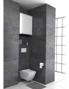 Spintelė Oristo Silver 60cm, su veidrodžiu, su LED apšvietimu