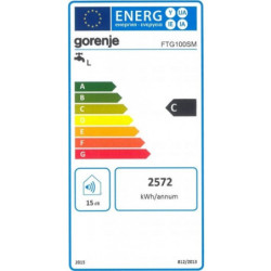 Elektrinis vandens šildytuvas Gorenje FTG 100 SM