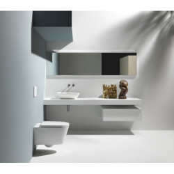 Praustuvas-dubuo Laufen Ino, 500x350mm