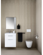 Praustuvas Laufen Kartell, 600x460mm, pakabinamas/pastatomas