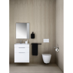 Praustuvas Laufen Kartell, 600x460mm, pakabinamas/pastatomas