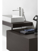 Praustuvas-dubuo Laufen Living Square, 600x340mm