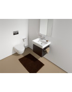 Praustuvas Laufen Pro, 450x340mm, pakabinamas/pastatomas