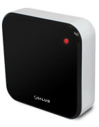 Internetinio patalpos termostato daviklis Salus IT300