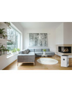 Oro drėkintuvas-valytuvas Boneco H300