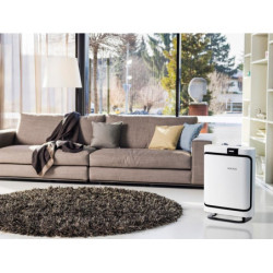 Oro valytuvas Boneco P400