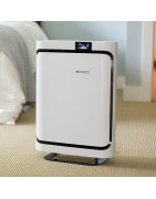 Oro valytuvas Boneco P500