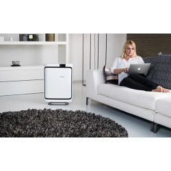 Oro valytuvas Boneco P500