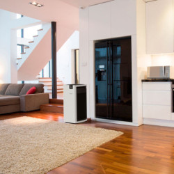 Oro valytuvas Boneco P710