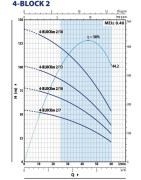 Giluminis vandens siurblys Pedrollo 4BLOCKm 2/13