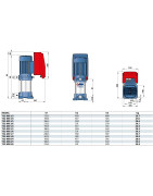 Vandens siurblys su dažnio keitikliu Pedrollo TS2-MK 5/8
