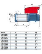 Vandens siurblys su dažnio keitikliu Pedrollo TS2-5CR 200