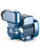 Sausai statomas horizontalus siurblys Pedrollo PKSm80 230V