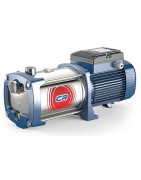 Daugiapakopis siurblys Pedrollo 6CRm/90 220V